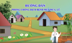 Video Hướng dẫn phòng, chống dịch bệnh mùa mưa lũ